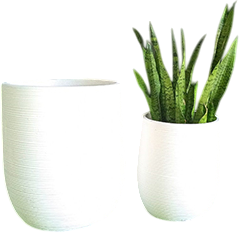 Flower Pot